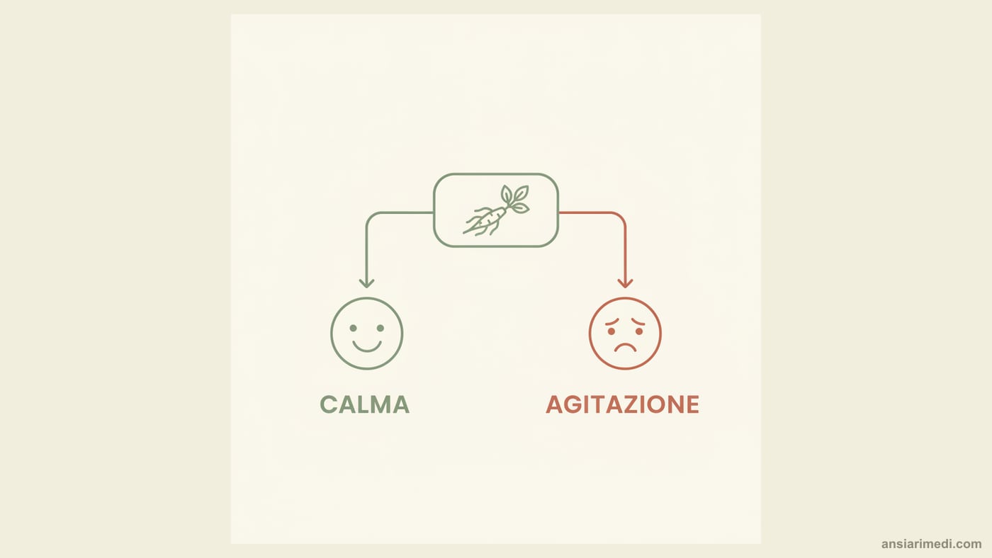 Schema decisionale sull'ashwagandha e l'ansia: nella maggior parte delle persone riduce lo stress, ma in una minoranza può dare agitazione, sedazione eccessiva o disturbi gastrointestinali; in quel caso ridurre la dose o sospendere